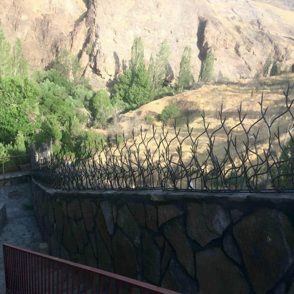 حفاظ شاخ گوزنی در آبسرد