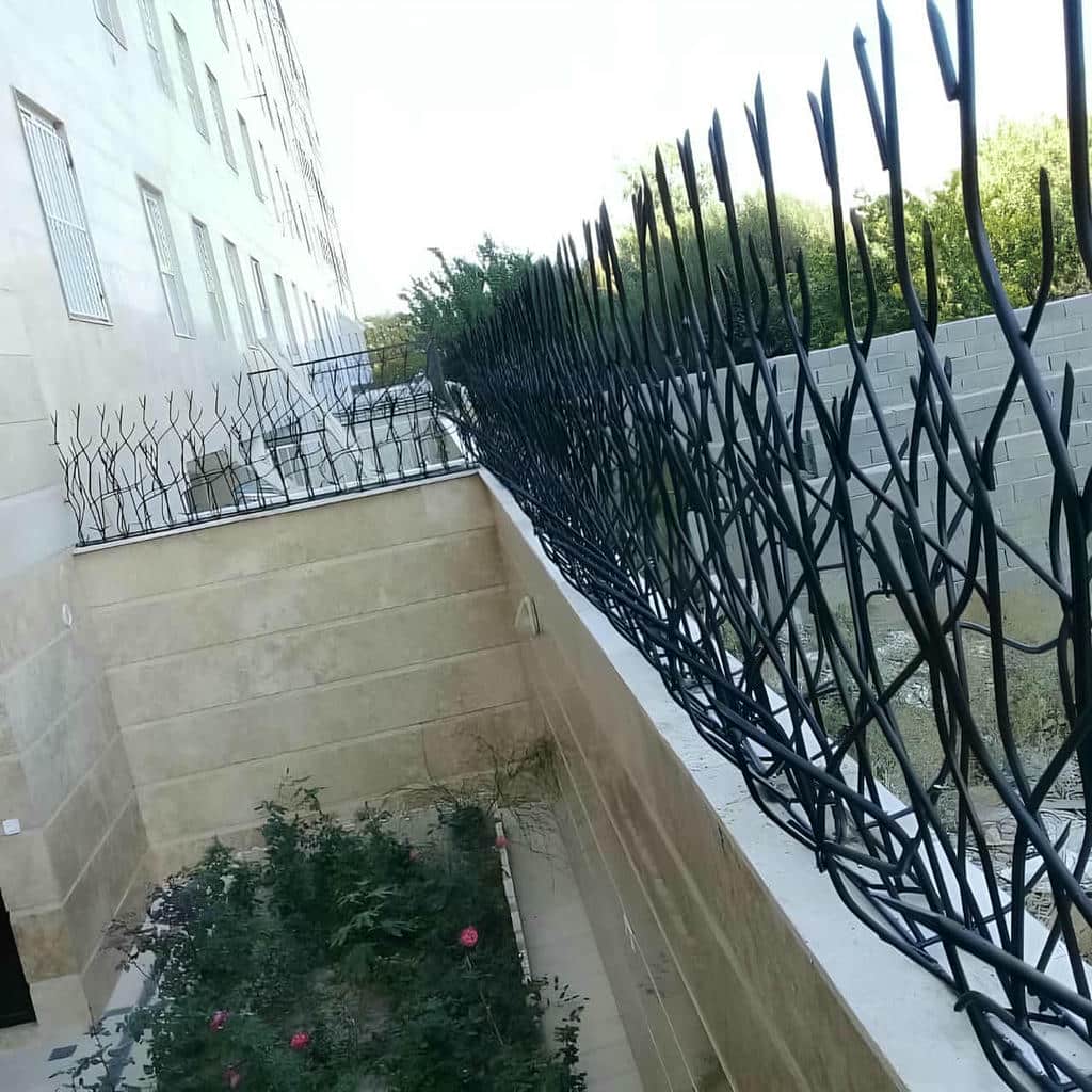حفاظ شاخ گوزنی در آمل