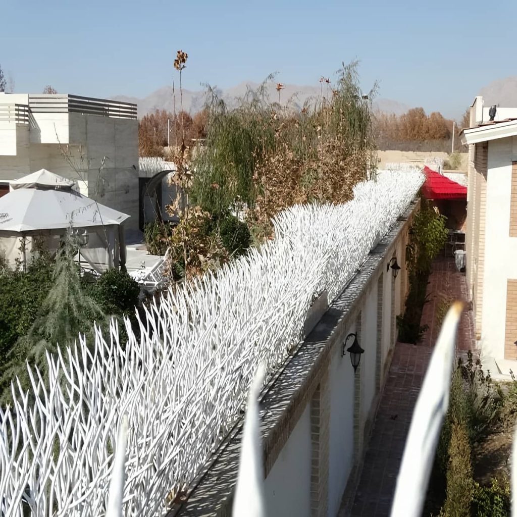 حفاظ شاخ گوزنی در کردان