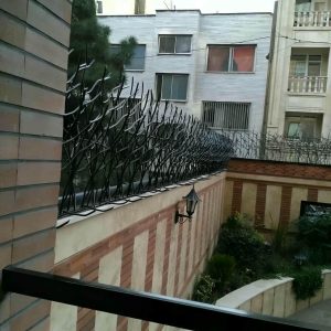 حفاظ شاخ گوزنی در ملارد