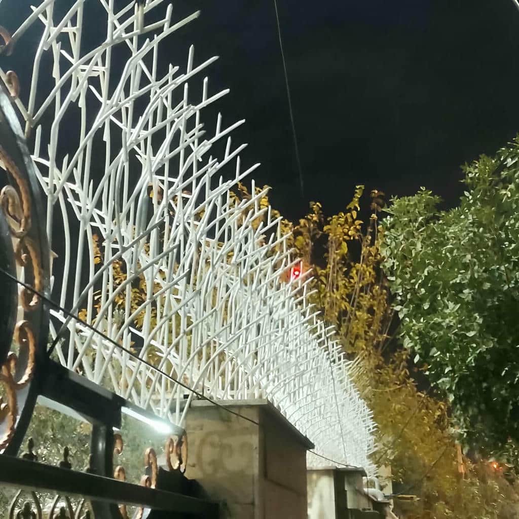 قیمت حفاظ شاخ گوزنی نوک‌های تیز در پرند