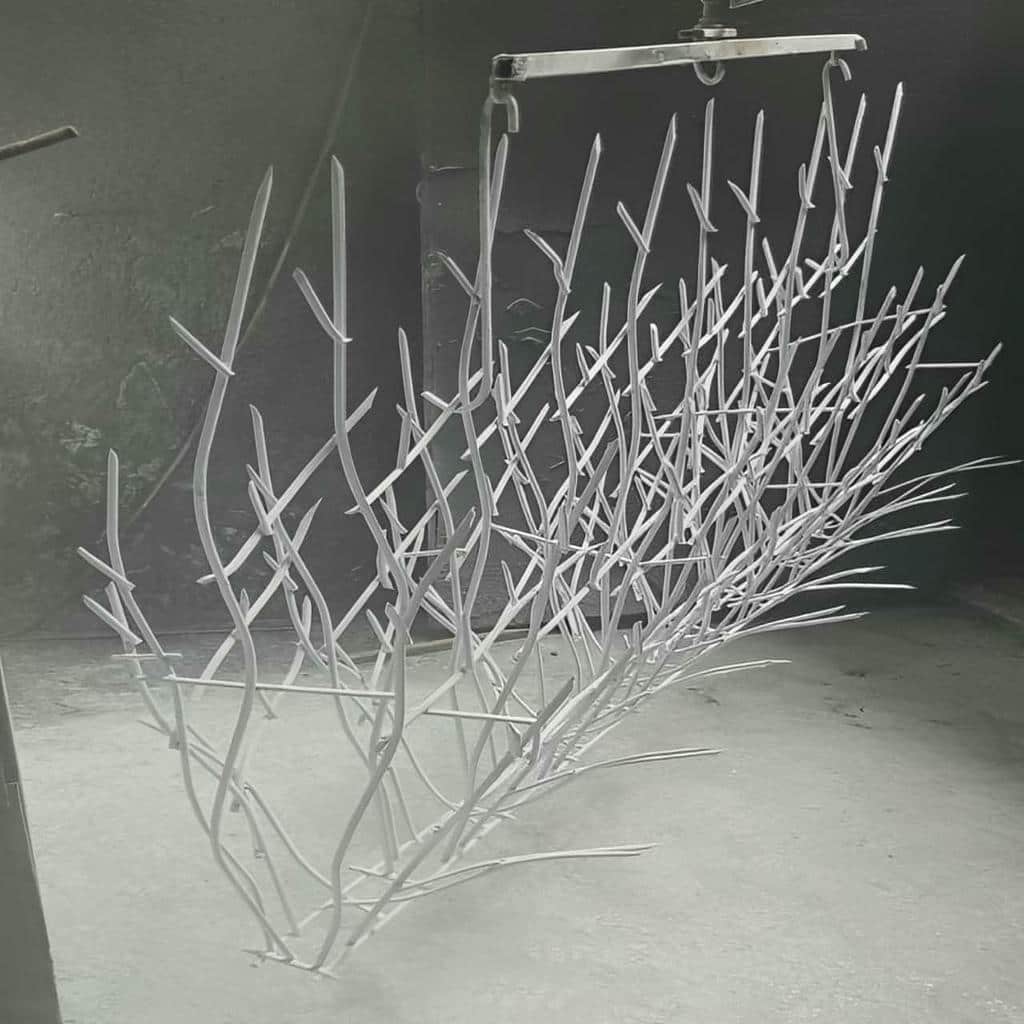 حفاظ شاخ گوزنی در یاسوج