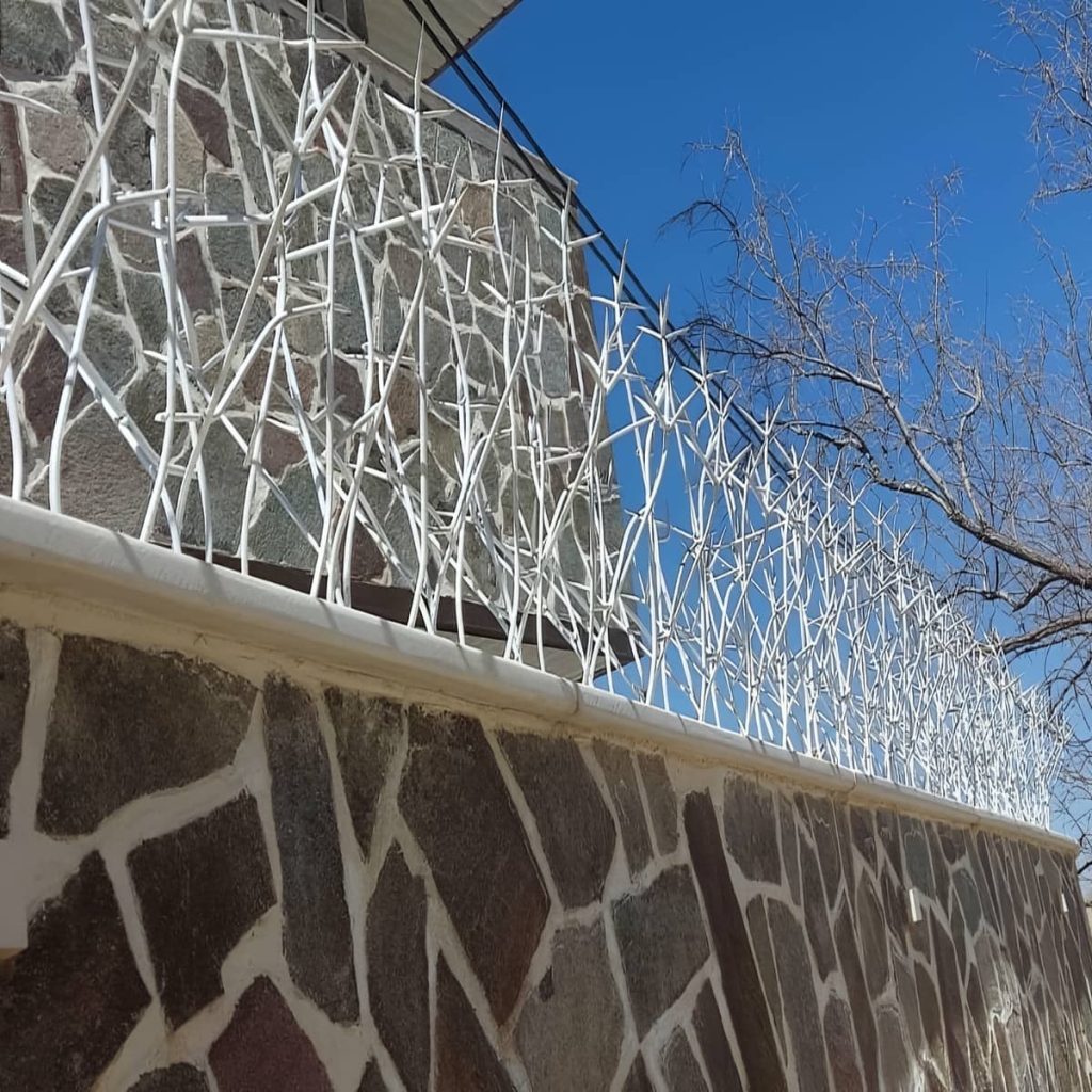 حفاظ خانه در زمان سفر با حفاظ دیوار شاخ گوزنی