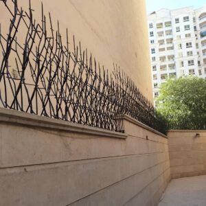 حفاظ شاخ گوزنی؛ حفاظ دیوار پرفروش برای ساختمان و ویلا