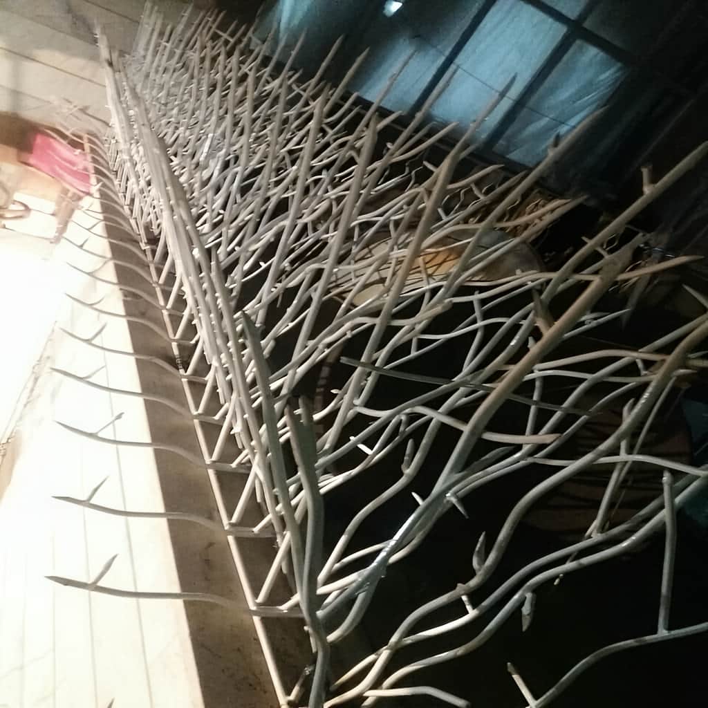 خرید حفاظ بوته ای پرتراکم برای دیوار کوتاه محوطه