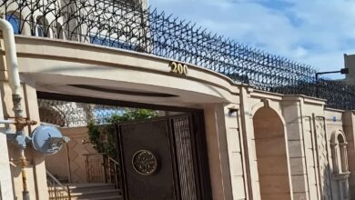 10 مدل حفاظ دیوار شاخ گوزنی میلگرد خمکاری