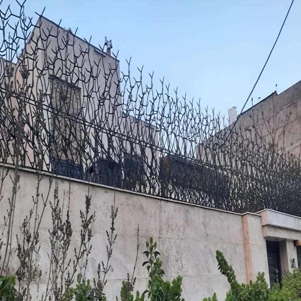 حفاظ شاخ گوزنی پرتراکم برای ضلع پشتی پروژه