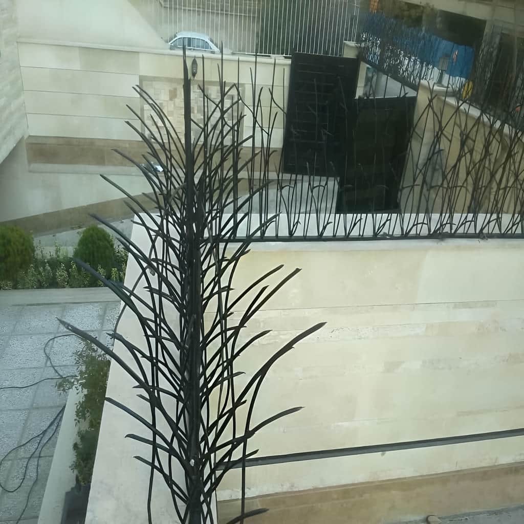 امنیت حفاظ نیزار