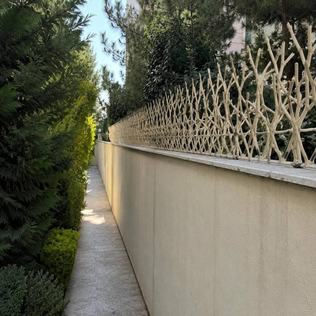 حفاظ شاخ گوزنی استان مرکزی در محوطه باغ